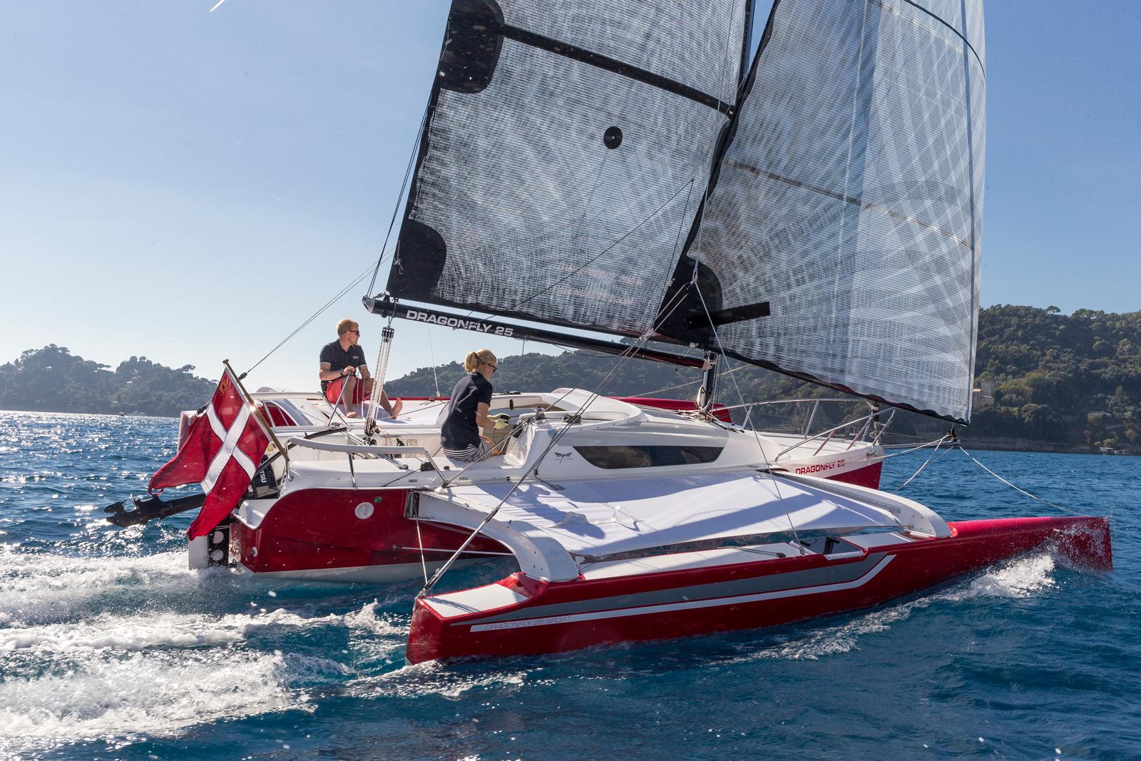 Dragonfly 25
