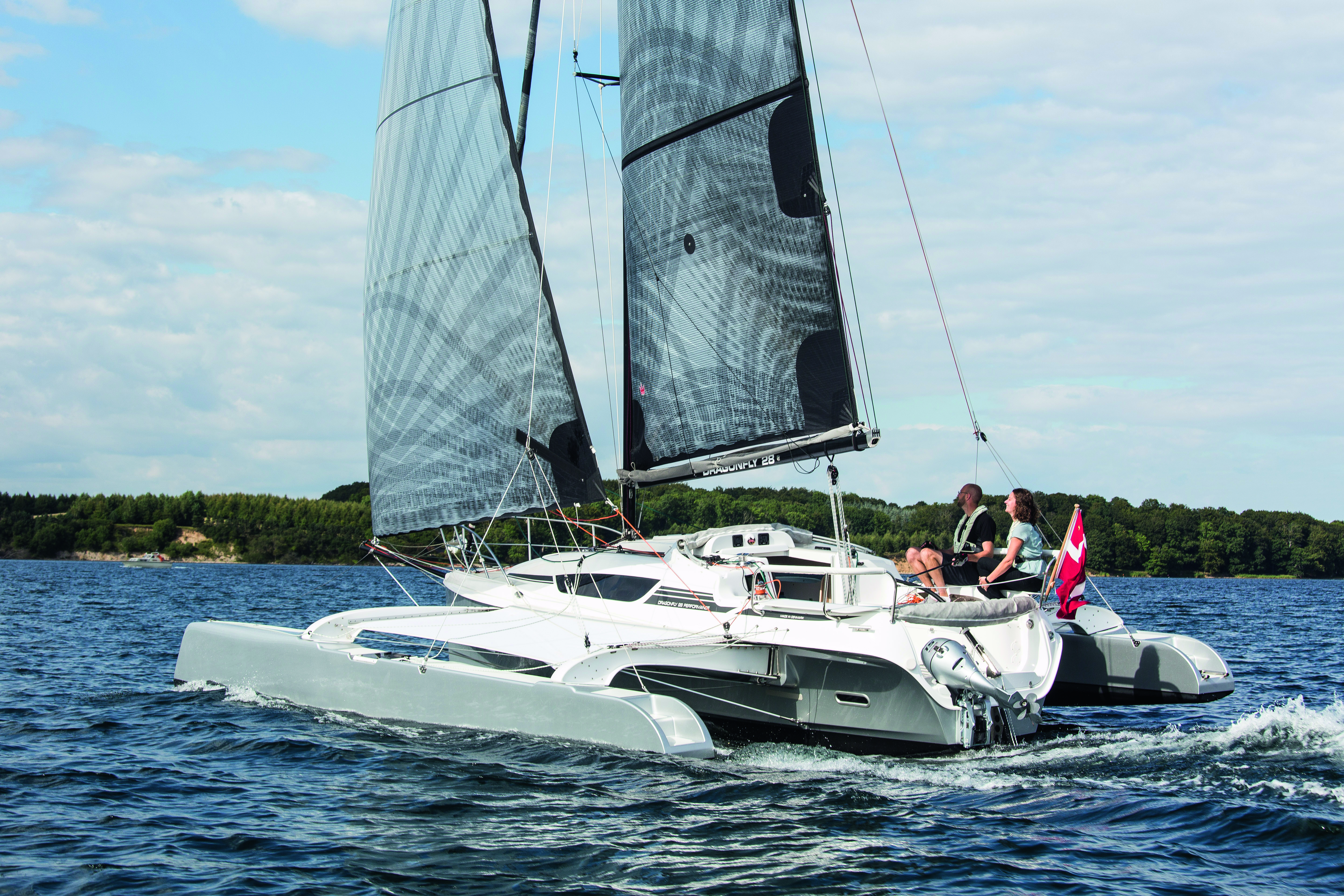 Dragonfly 28